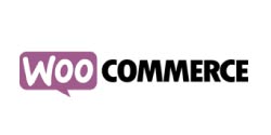 woocommerce ecommerce transaction system